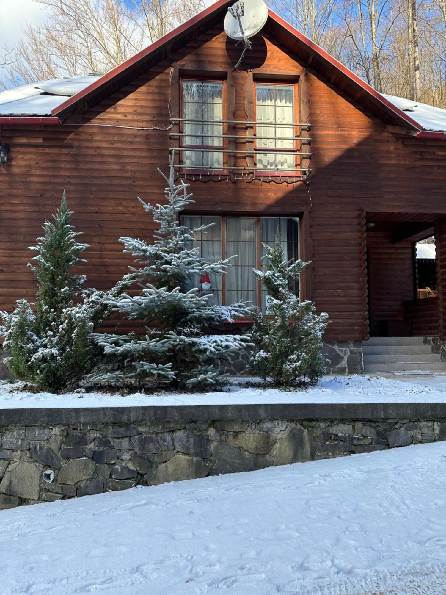 Villa Домик В Горах Tur'ya Paseka Exterior foto