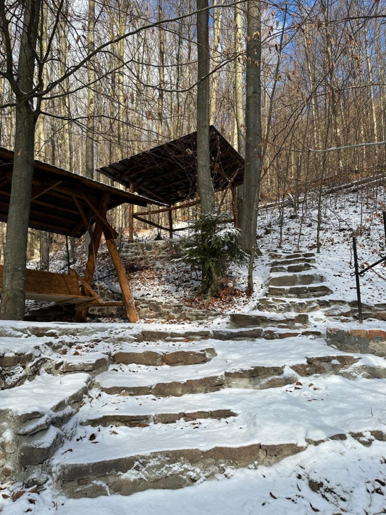 Villa Домик В Горах Tur'ya Paseka Exterior foto